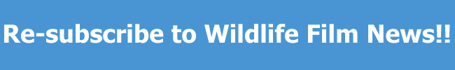 Re-subscribe to WFN here!
