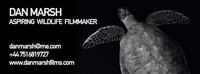 Dan Marsh Films