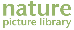 Nature Picture Library