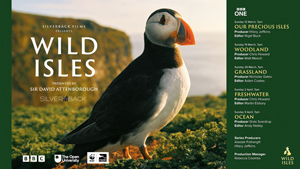 Katie Mayhew worked on the BBC's Wild Isles