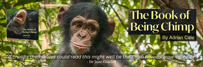 The Book of Being Chimp