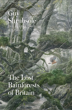 The Lost Rainforests of Britain